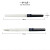 Перова ручка Sailor Hi-Ace Neo Itallic Clear