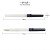 Перова ручка Sailor Hi-Ace Neo Itallic Clear Перова ручка Sailor Hi-Ace Neo Itallic Clear