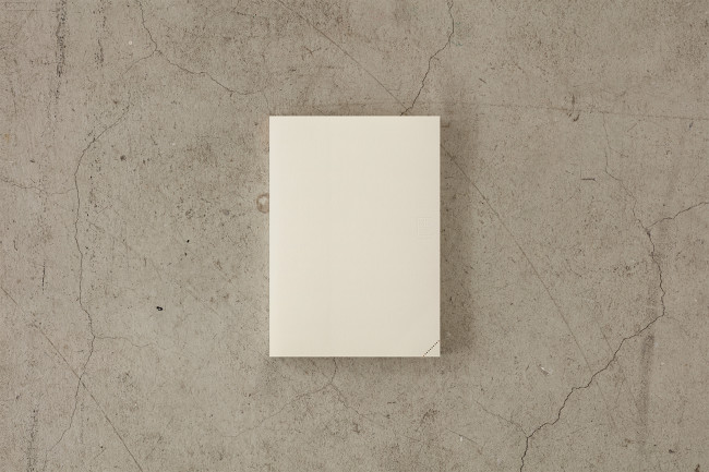 Блокнот Midori MD Notebook Journal A5 Codex День на странице