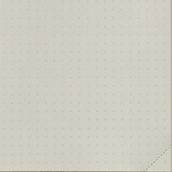 Блокнот Midori MD Notebook Journal A5 Codex День на странице