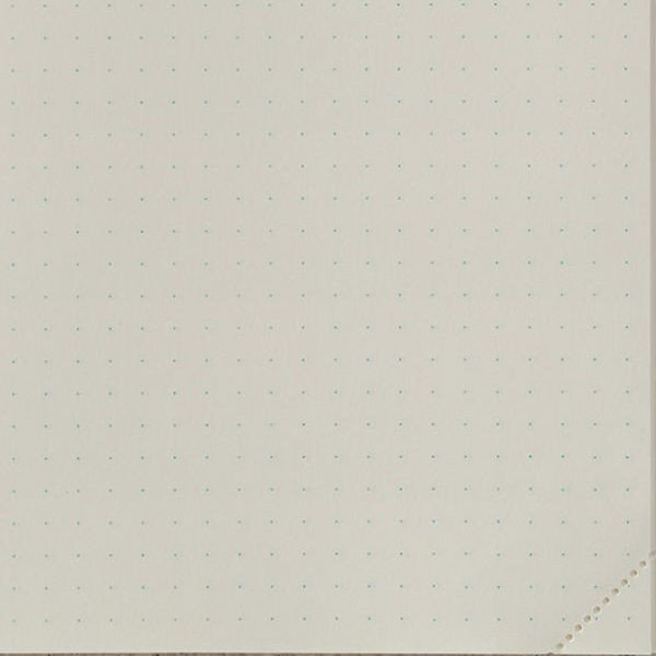 Блокнот Midori MD Notebook Journal A5 Codex День на странице