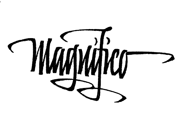 Перьевая ручка Sailor Calligraphy Fude DE Mannen с загнутым пером Перьевая ручка Sailor Calligraphy Fude DE Mannen с загнутым пером